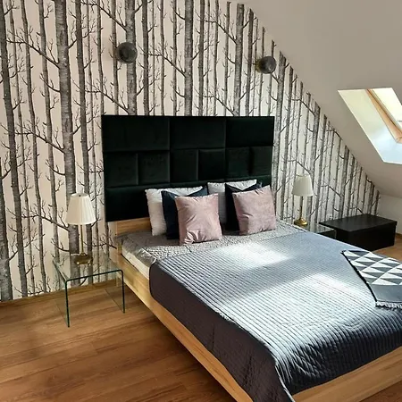 007b Pod śnieżką Apartament
